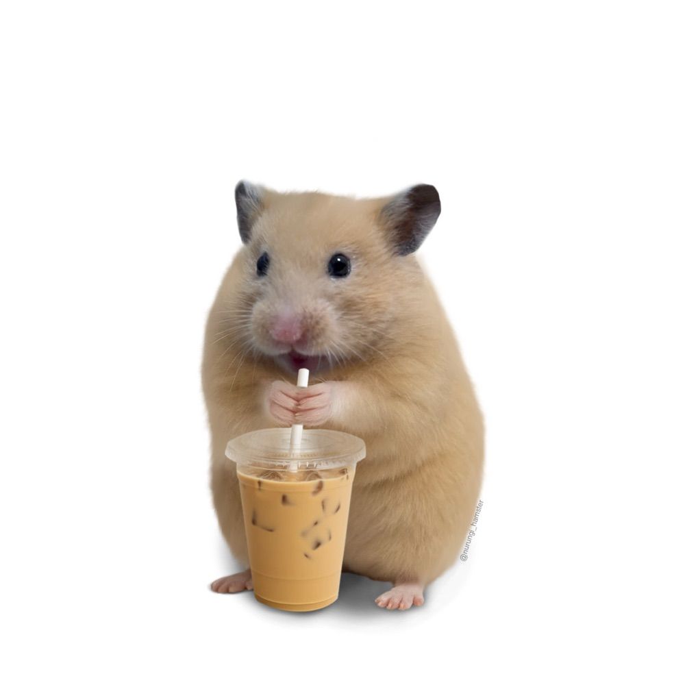 룽지누