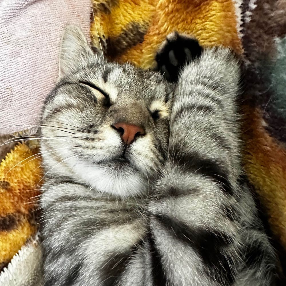 А що це коїться