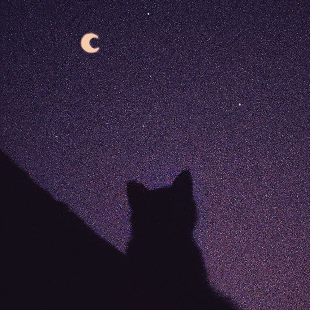 meowrie