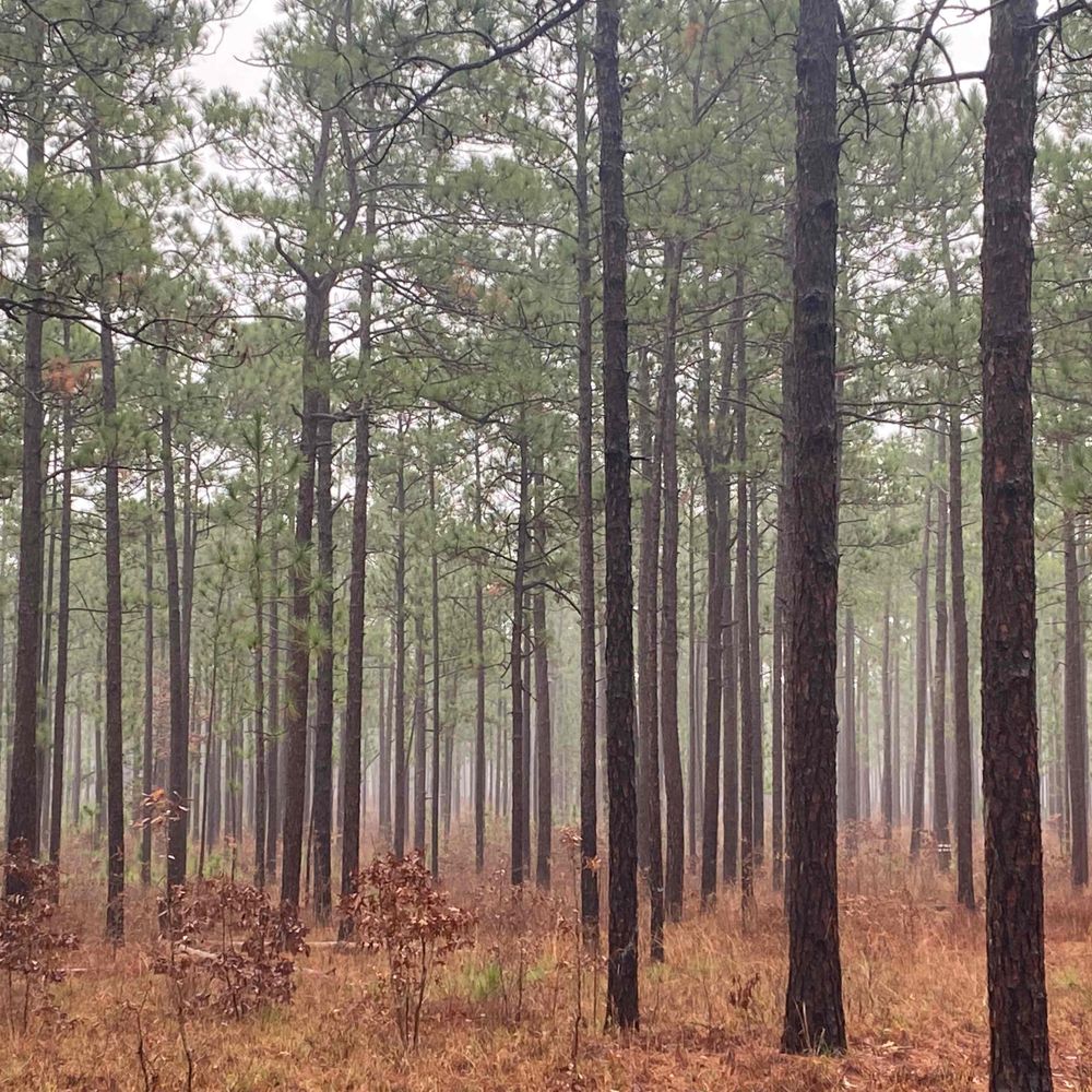 The Starr Global Change Ecology Lab