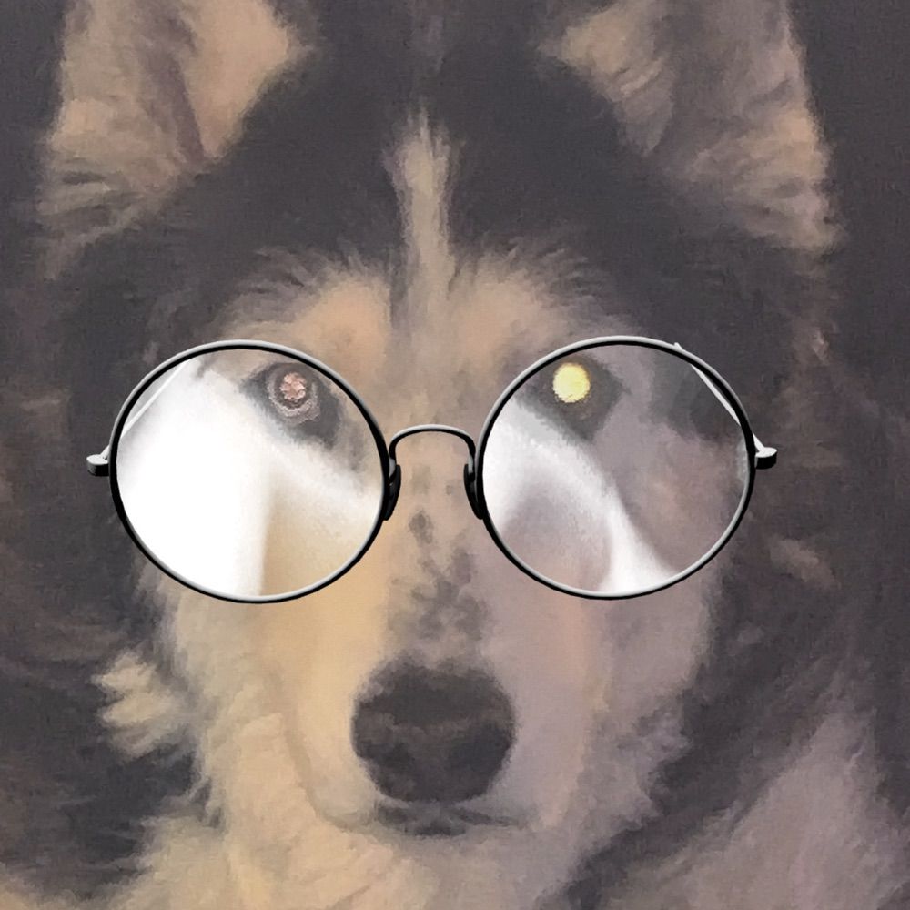 Sasha’s Dad