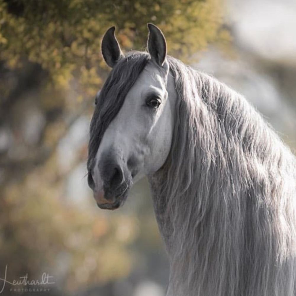 warmwestwind.bsky.social profile picture