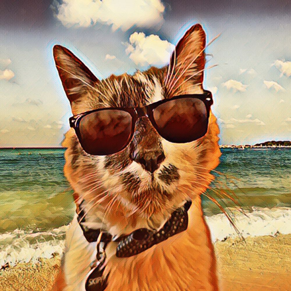 🌸🐈Skippy🐈Kevy🐈Badger🐈Sunny🐈Basil🌸
