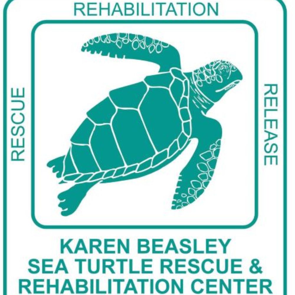 The Karen Beasley Sea Turtle Rescue and Rehabilitation Center