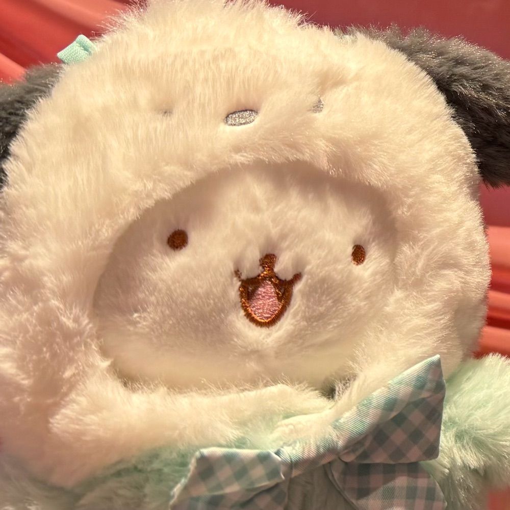 Bear 🧸