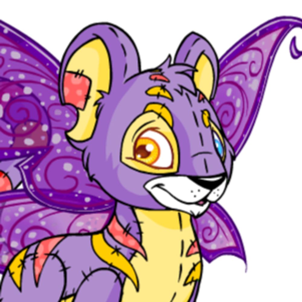 Comfy Kougra~ ♡