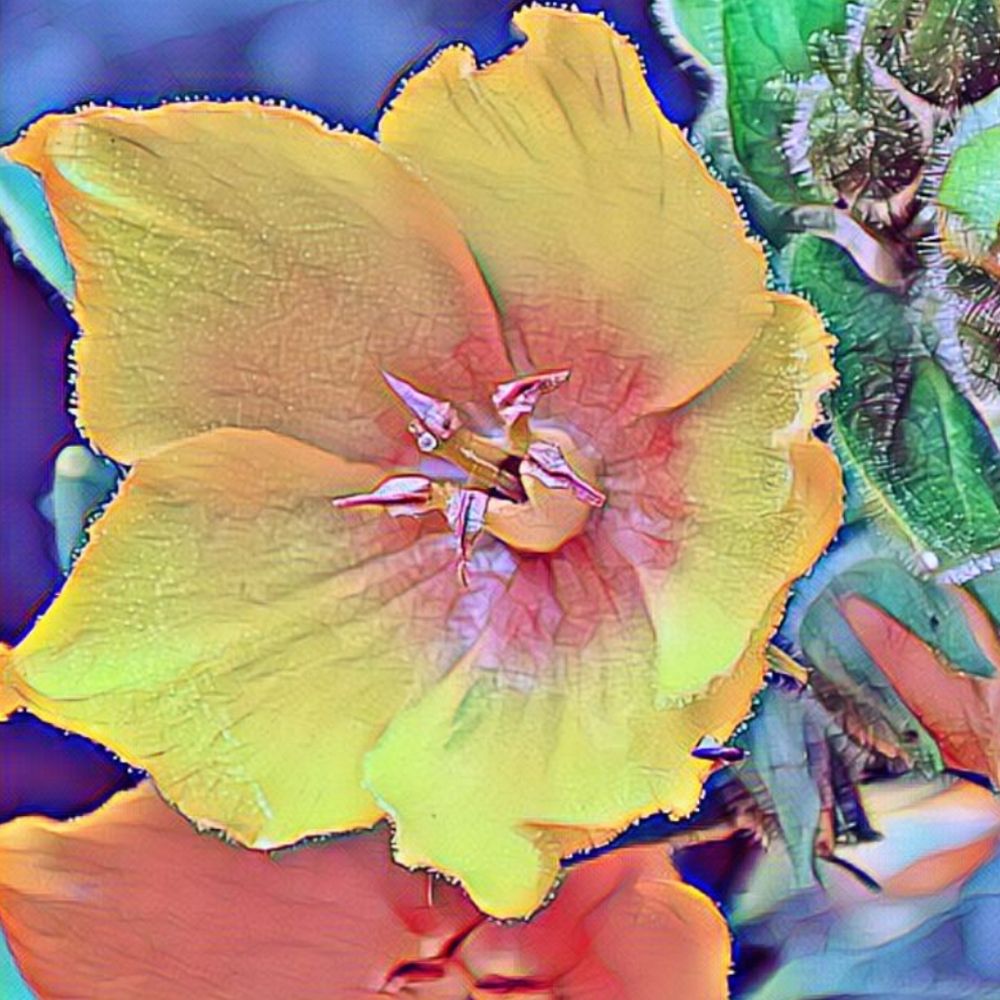 Nature fairy