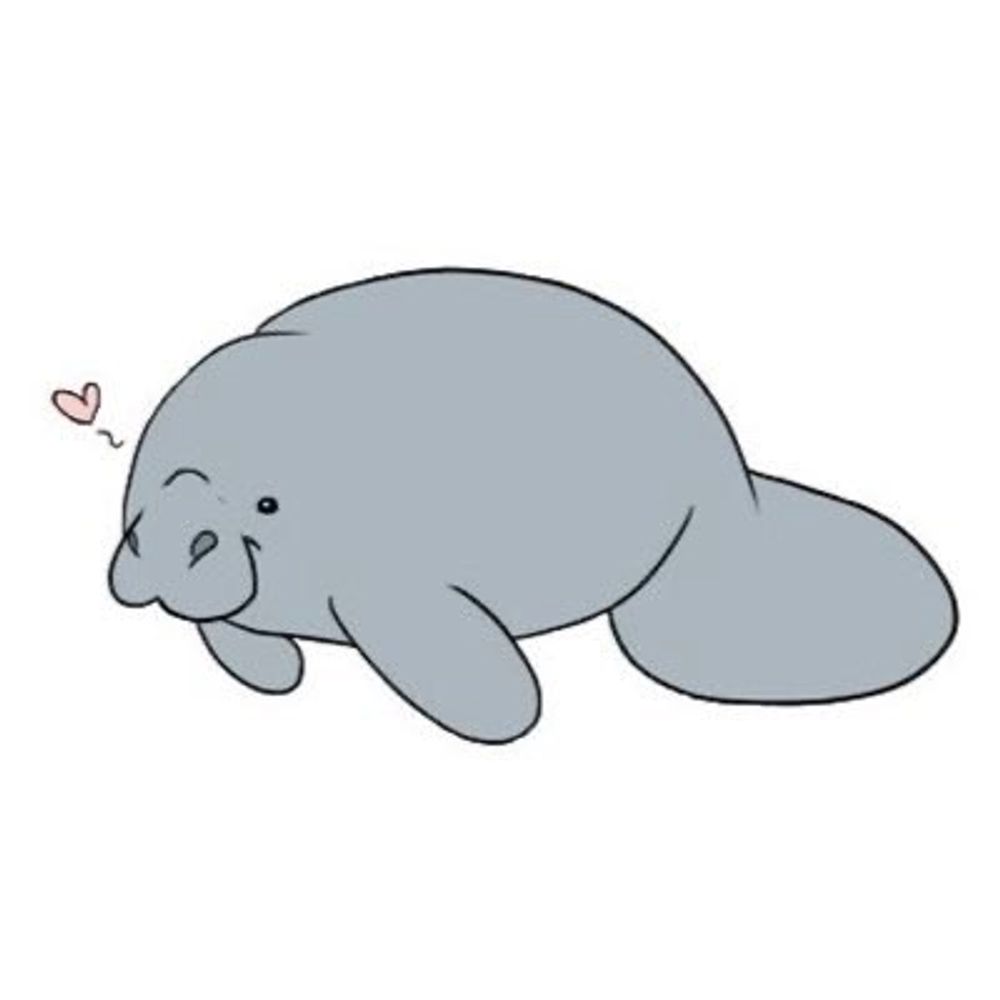 manatees daily