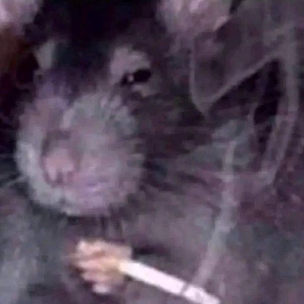 Ratz
