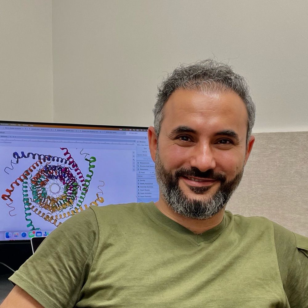 Navid Bavi