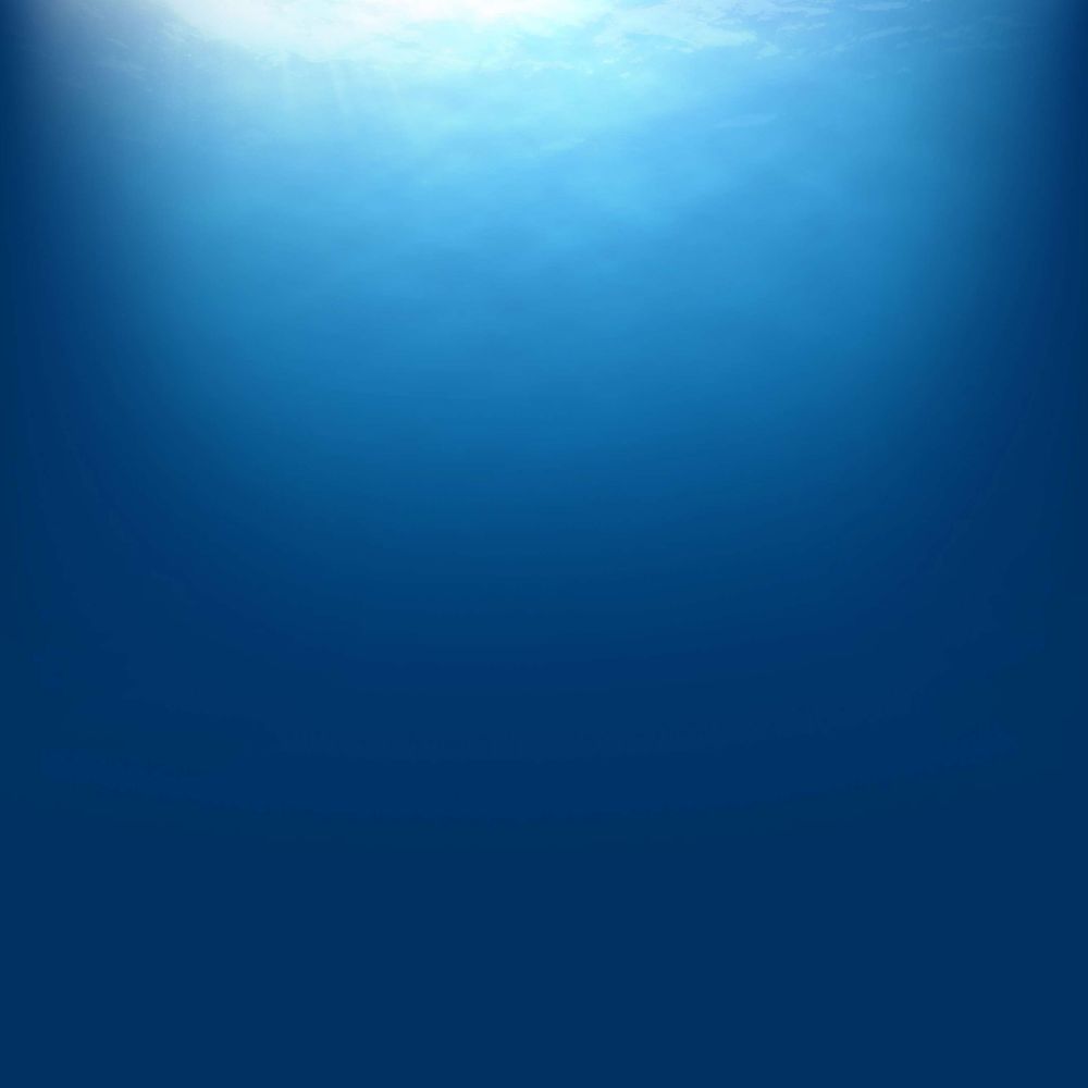 SEANOE - SEA scieNtific Open data Edition