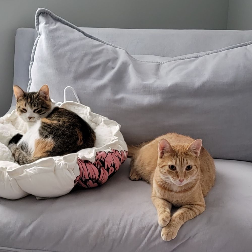 Mochi and Goose