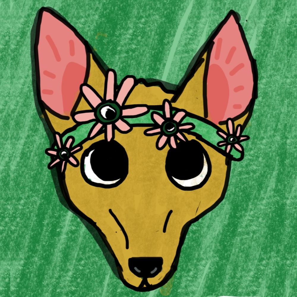 Jokes & Jackals