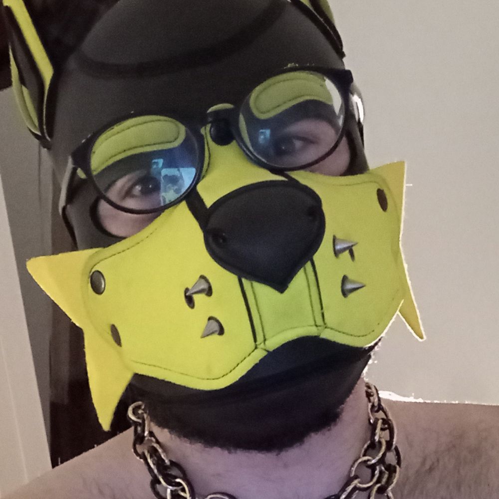 AltairThePup