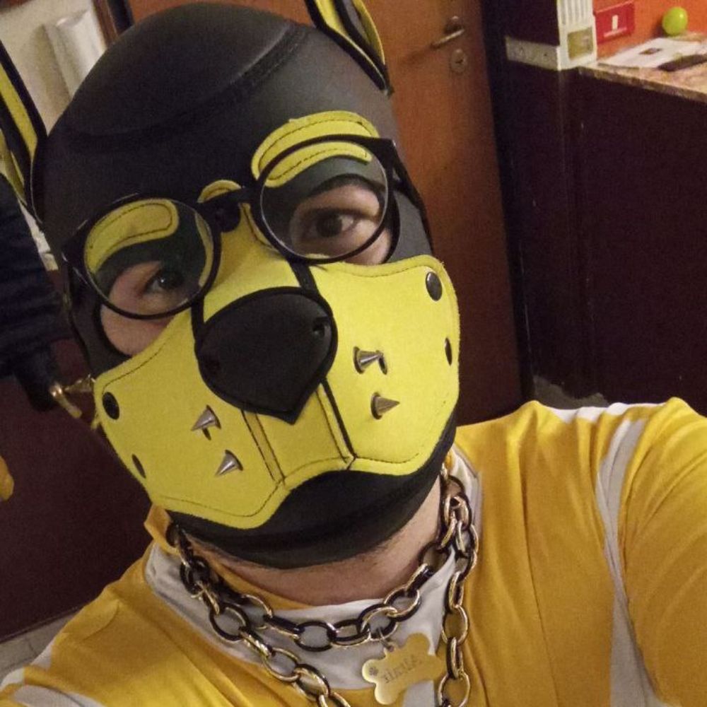 AltairThePup