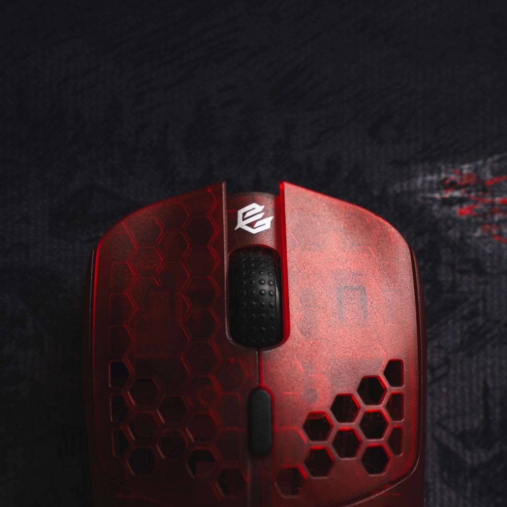 qS3npie