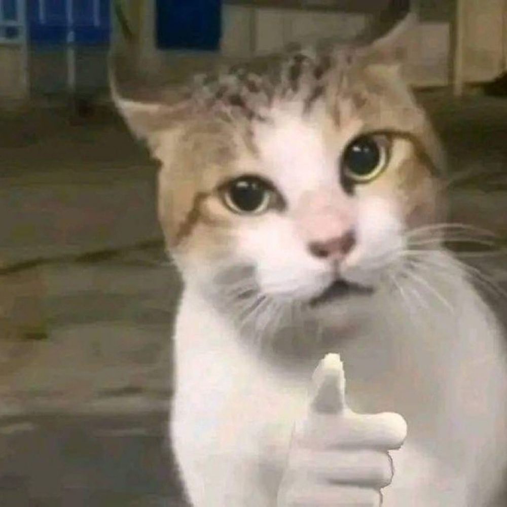 양비