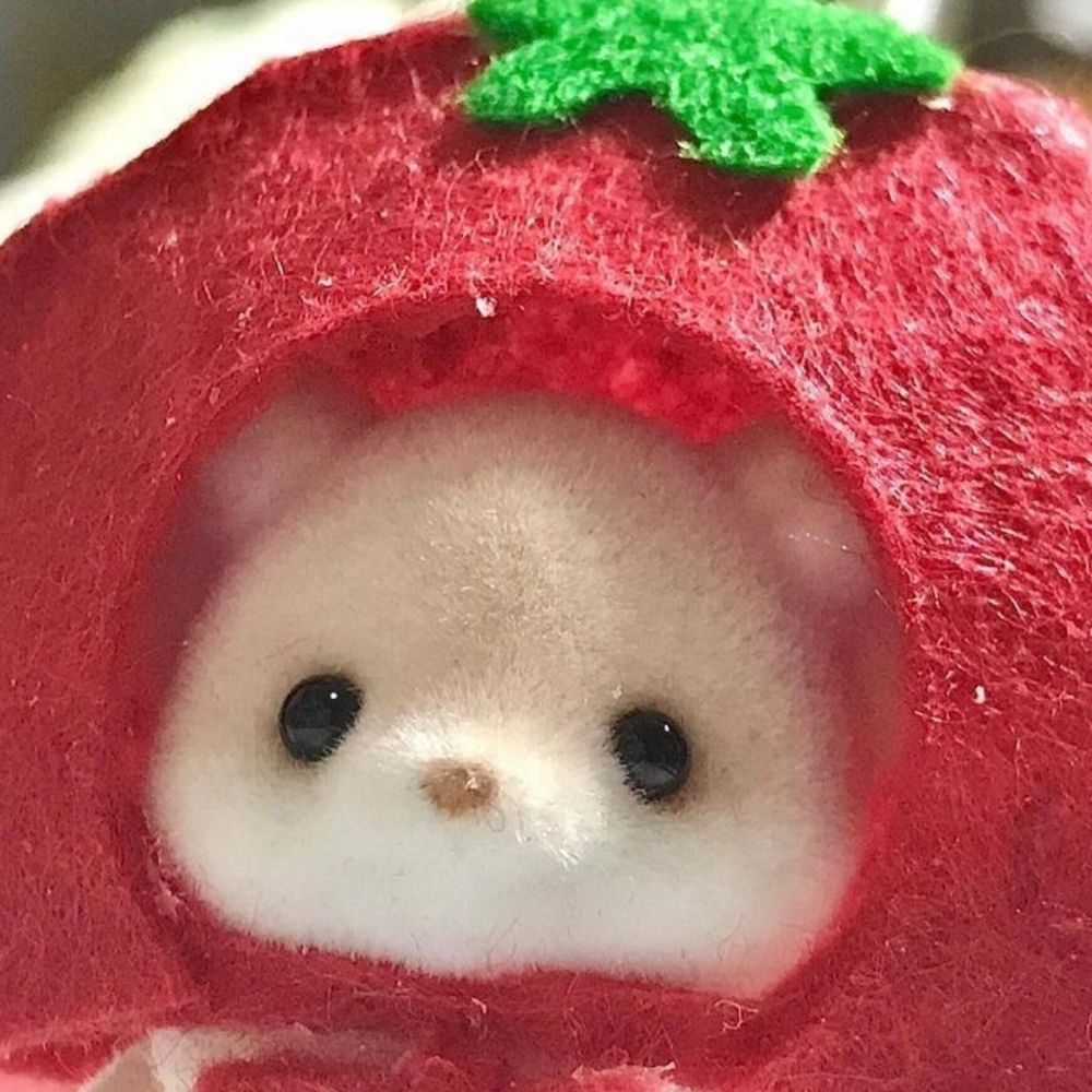 휩