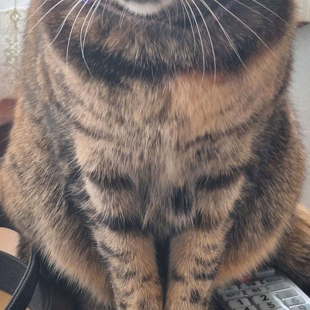 はち