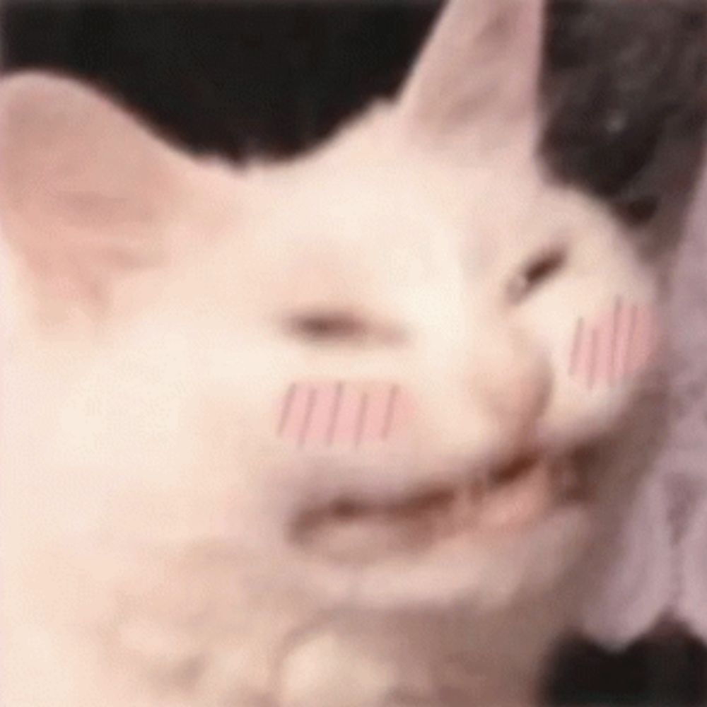 Mok