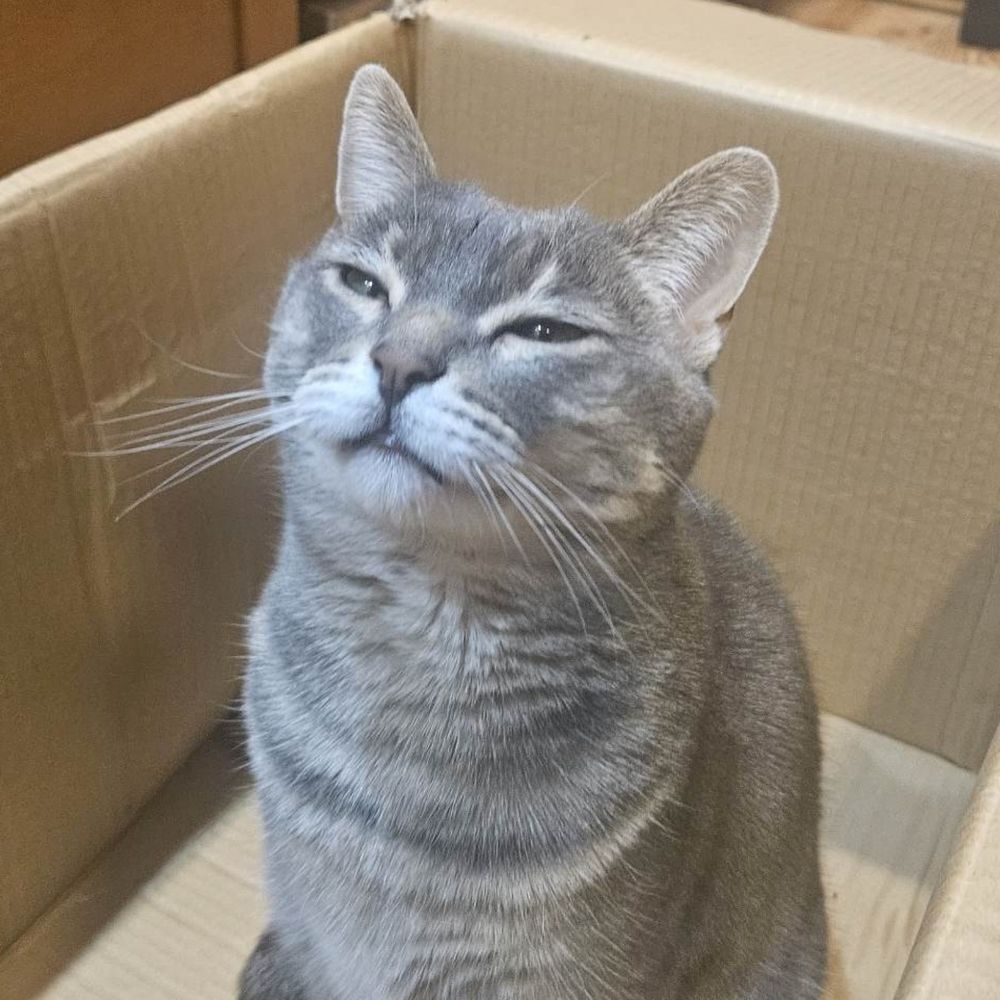 h0rnylurker.bsky.social