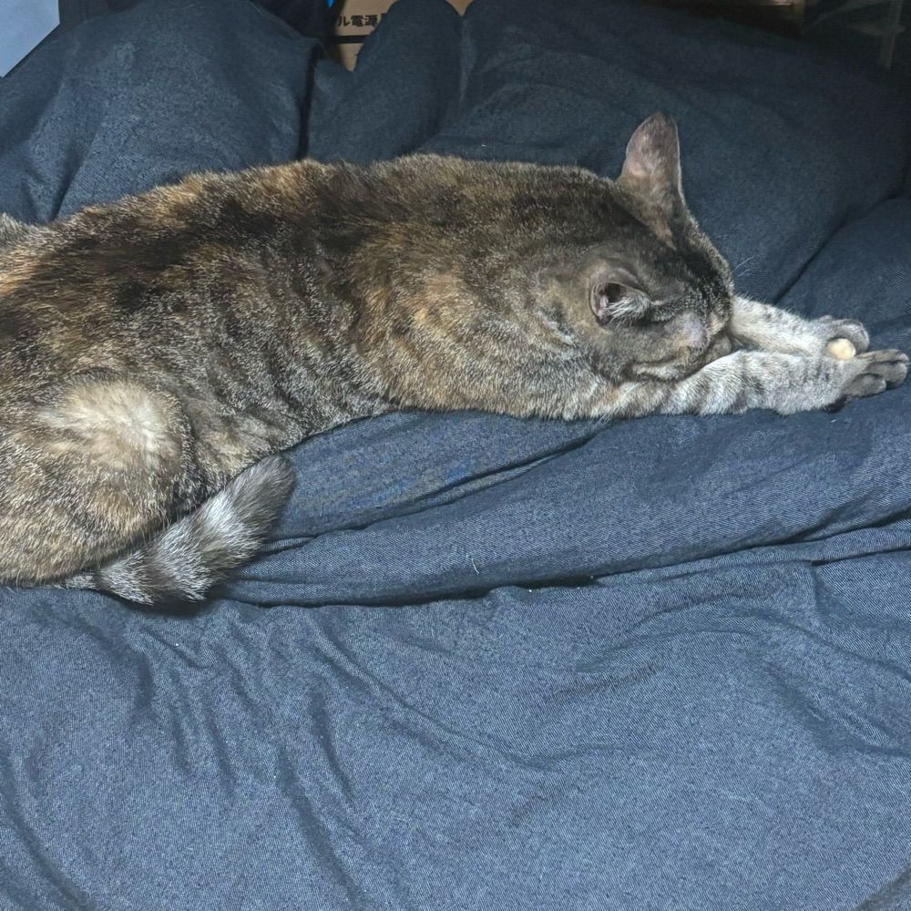 もち
