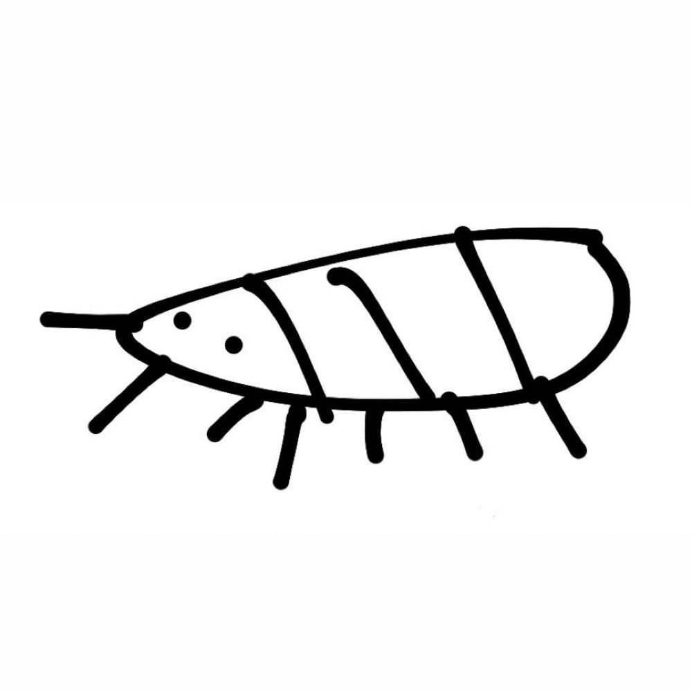 bugpajamas