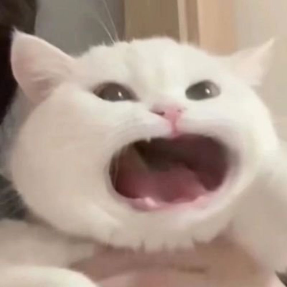 먀오