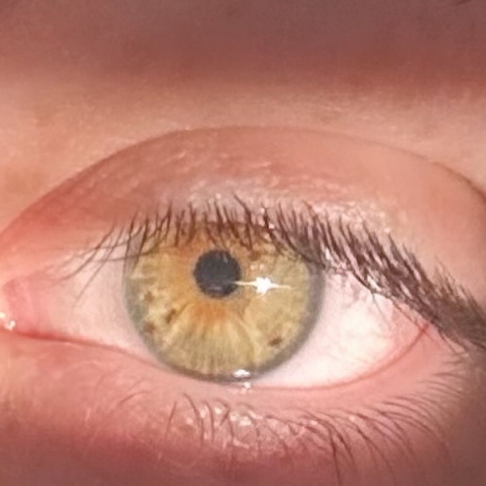 Sam 👽