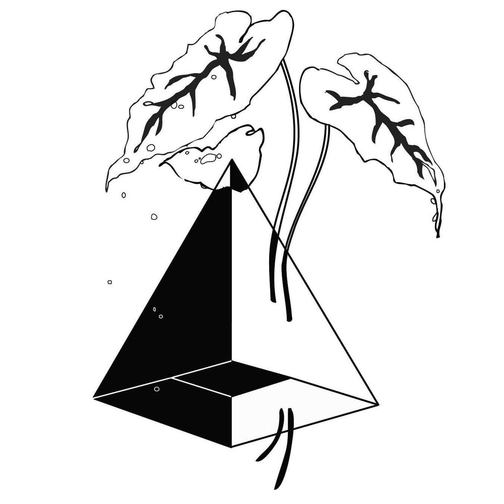 PRISM International