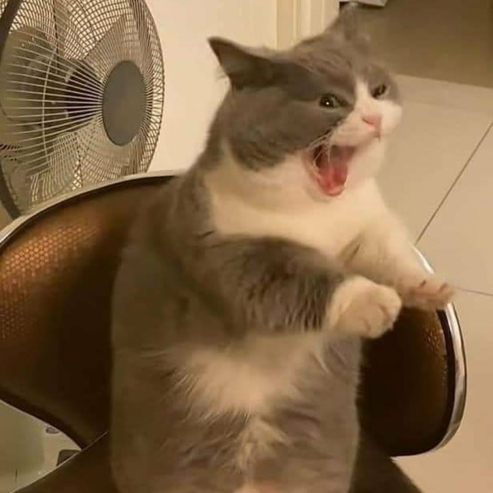 Tá loka?