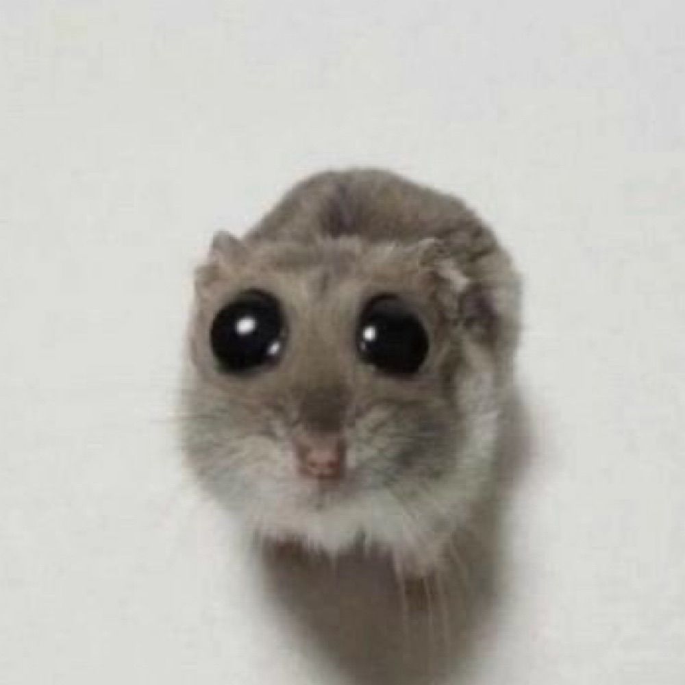 chris's avatar