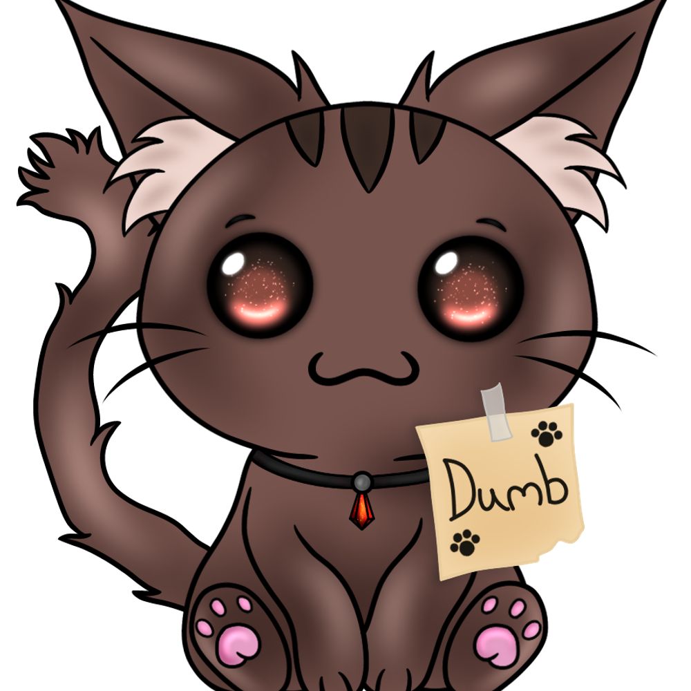 LioriFayt