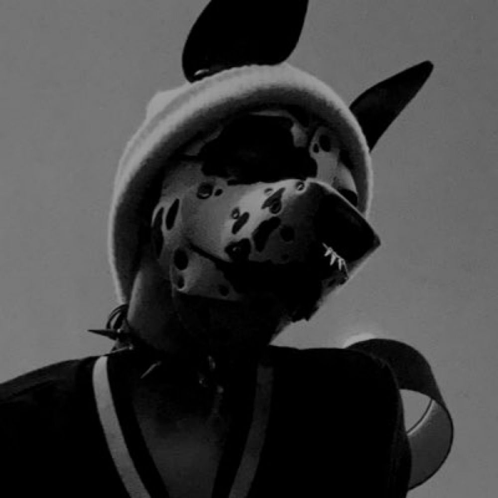 ˚*̥✧⛓️•卩ㄚㄩ尺乇 •⛓️✧*̥˚
