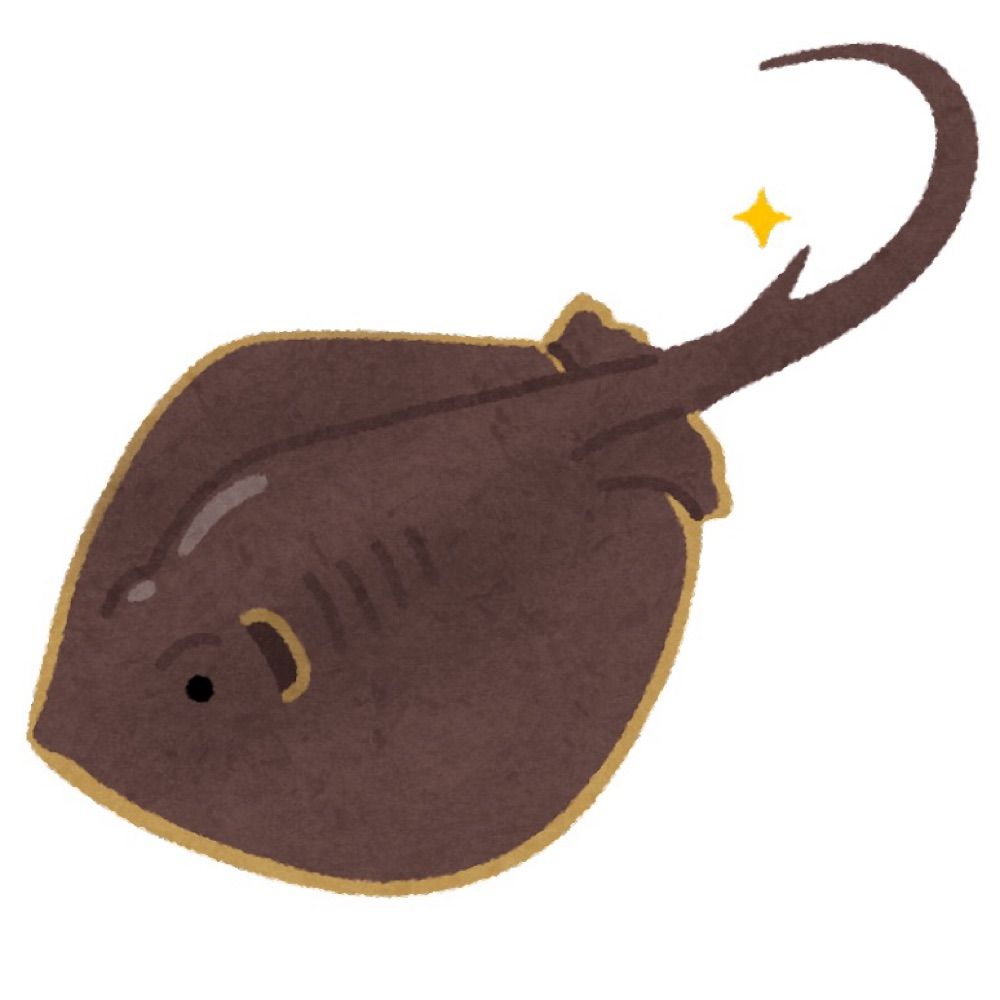 ッョィァヵェィ