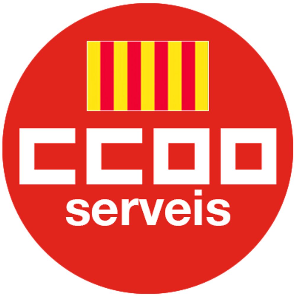 Serveis CCOO PV