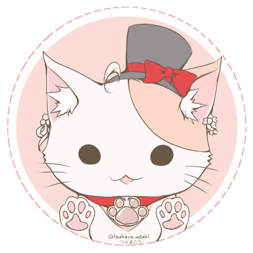 つくよ🐈