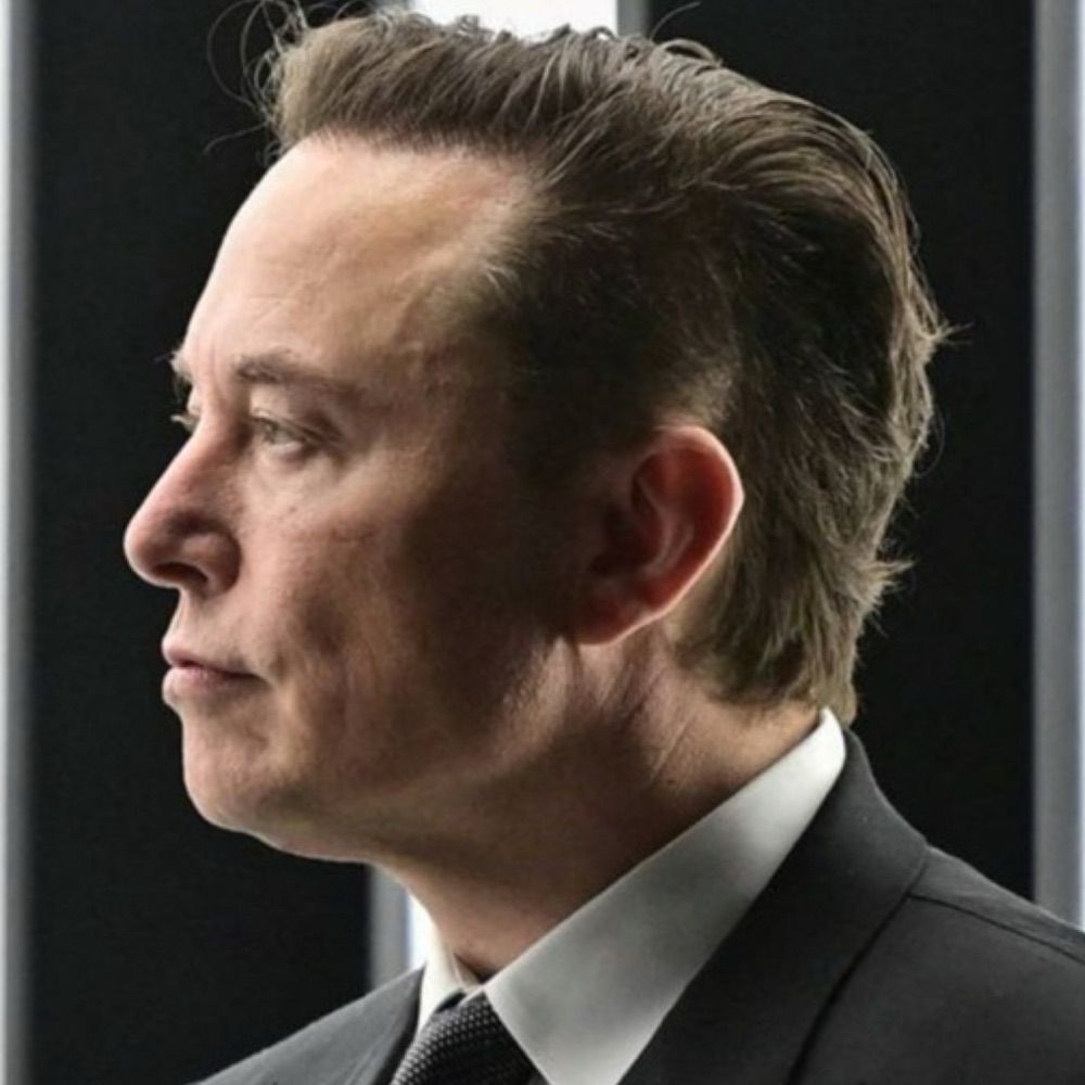 Profile picture elonreeve06musk.bsky.social