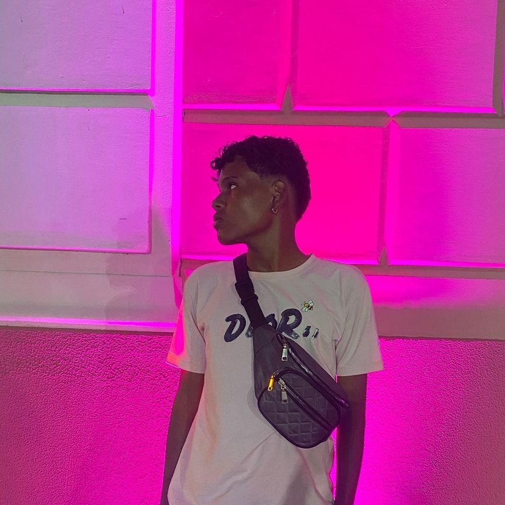 Rogis 🪼