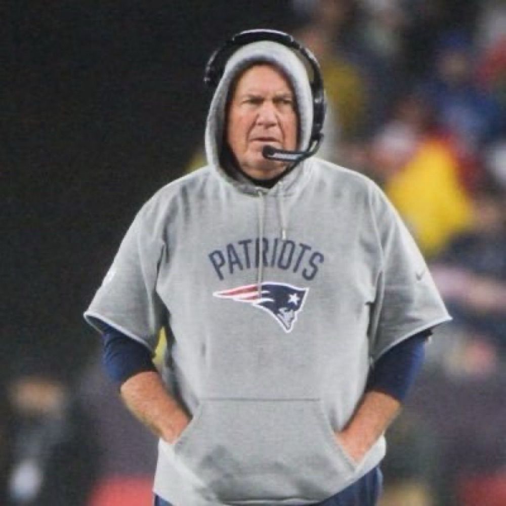 boston sports fan