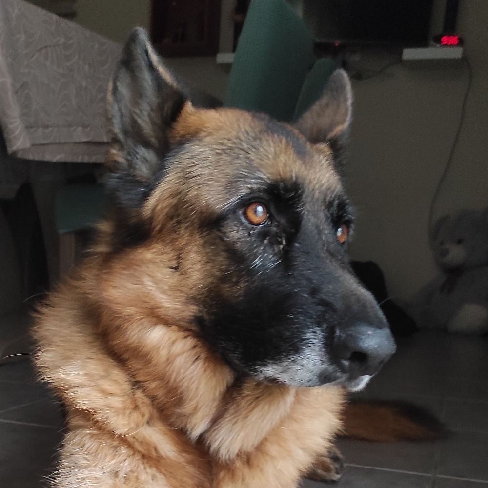 Ognyx