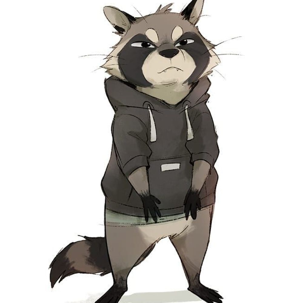 Raccoon