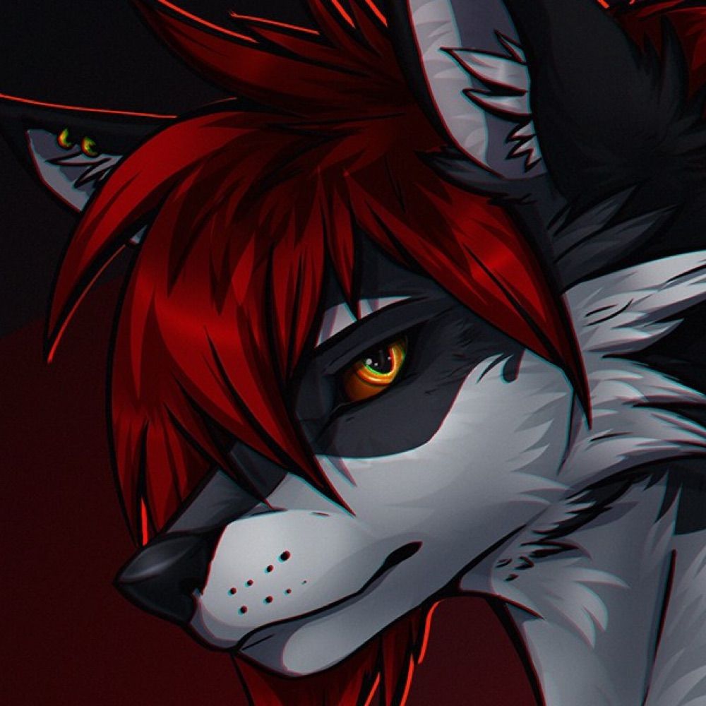 Midnight ☾ 🐉🐺