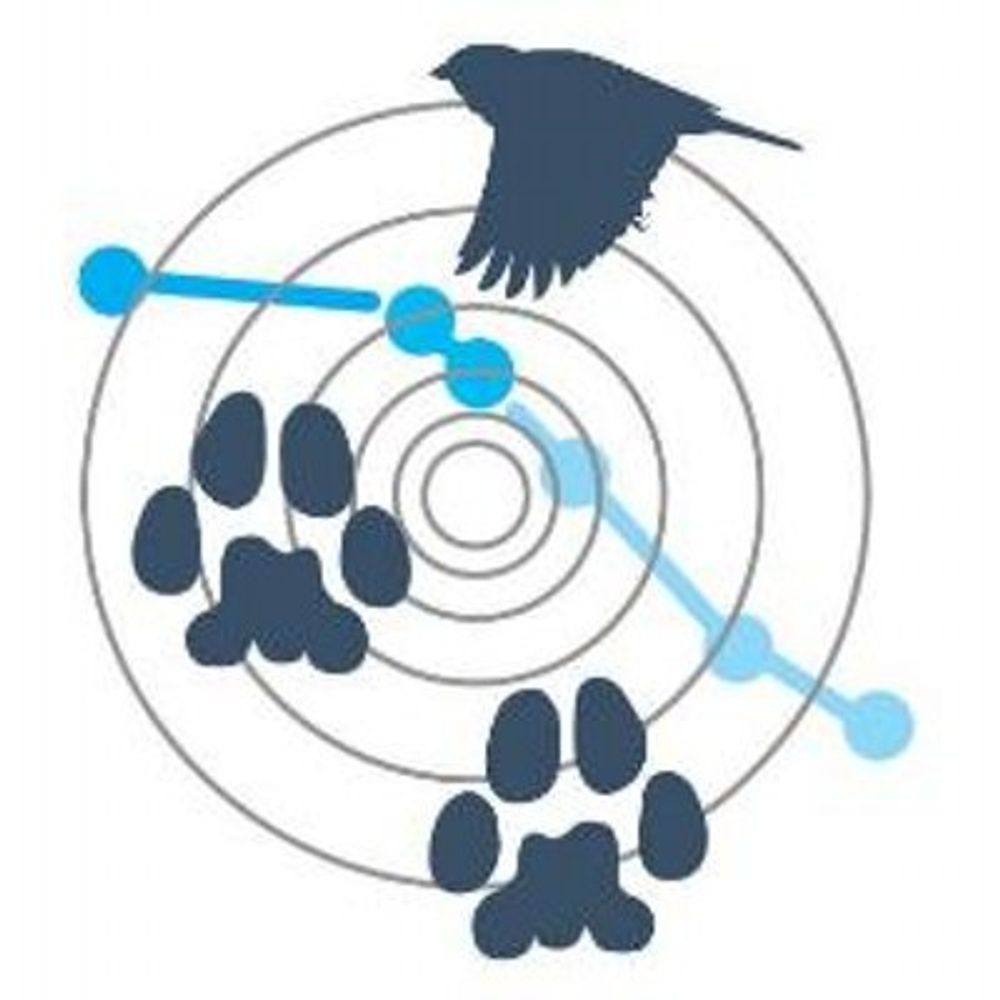 Migration Department, Max Planck Institute of Animal Behavior