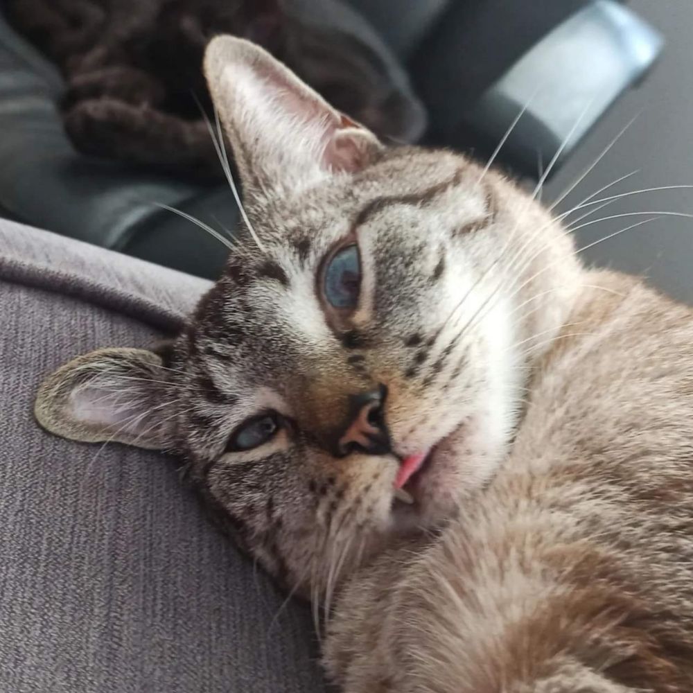 gabriel