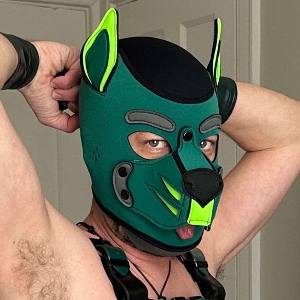 Pup m8 | matewitheight's avatar
