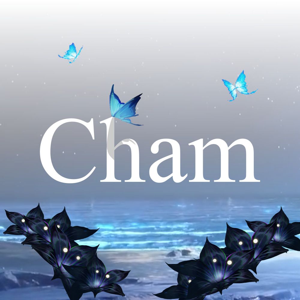 ちゃむ🦋
