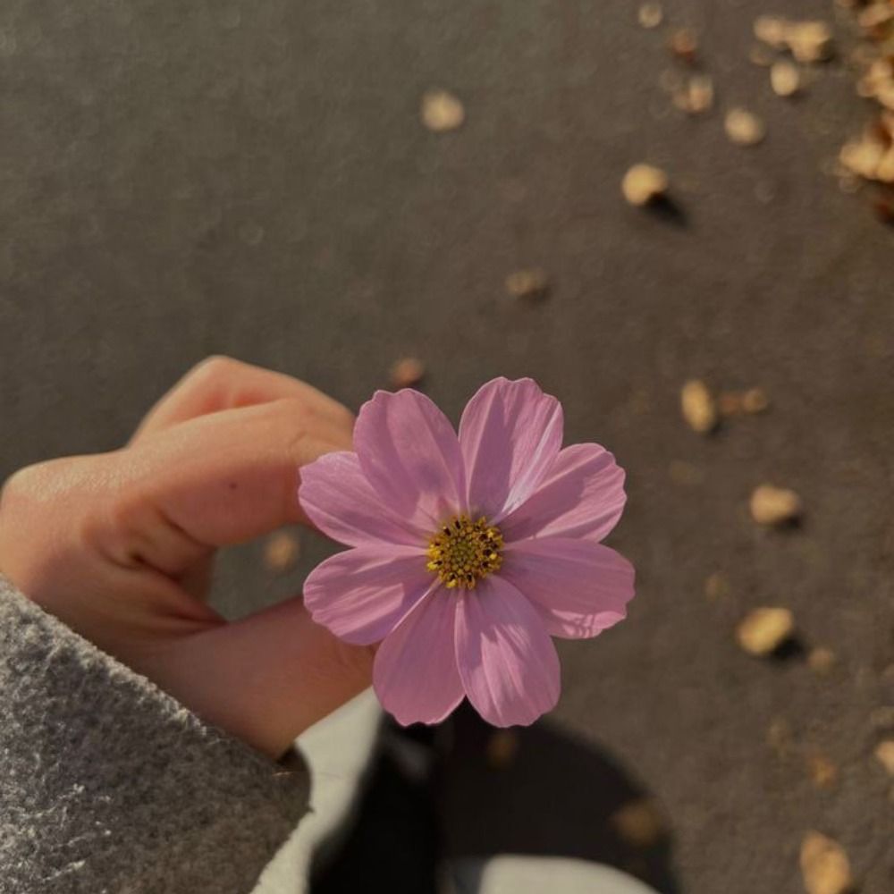Danielle♡♡