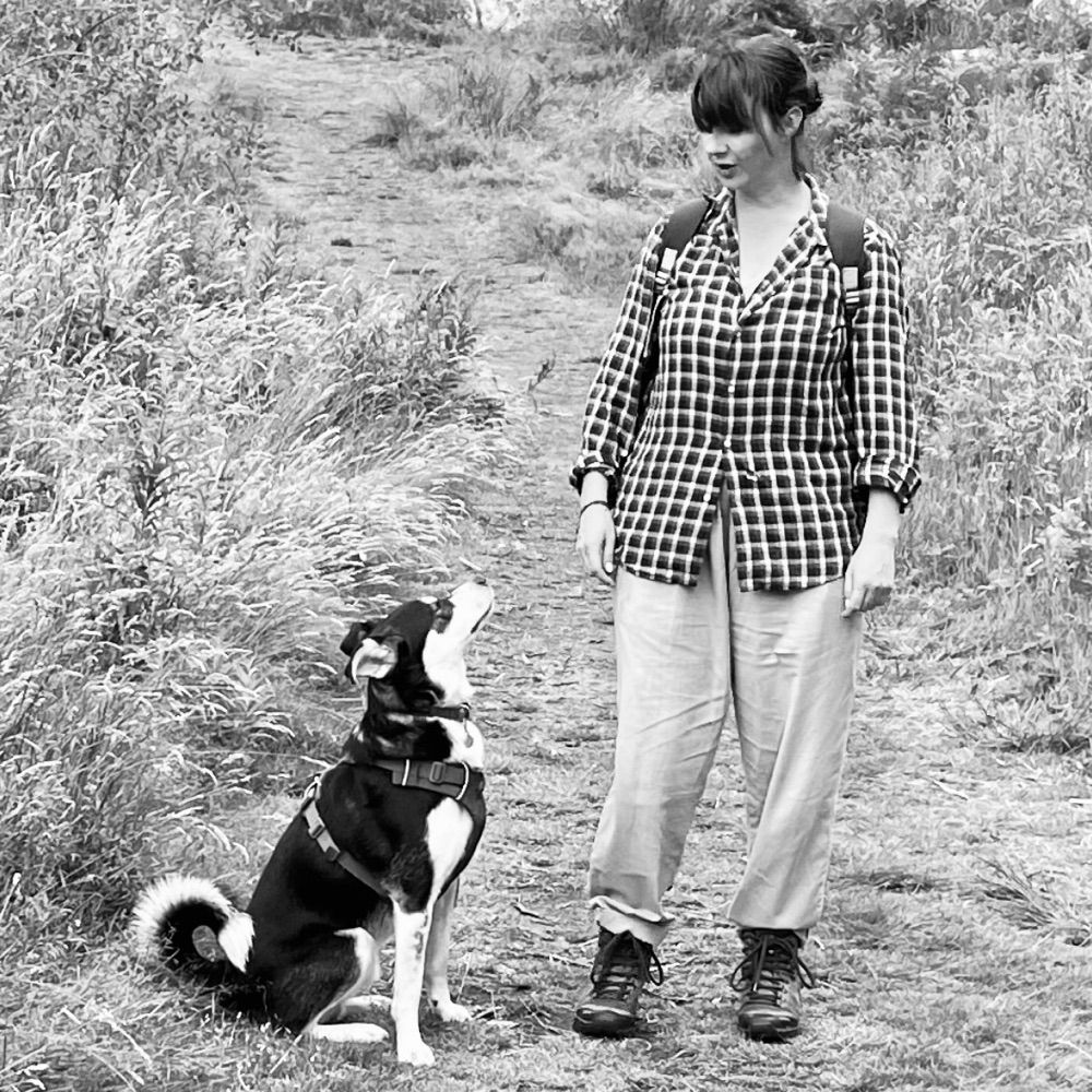 Wild Companion Dog Training