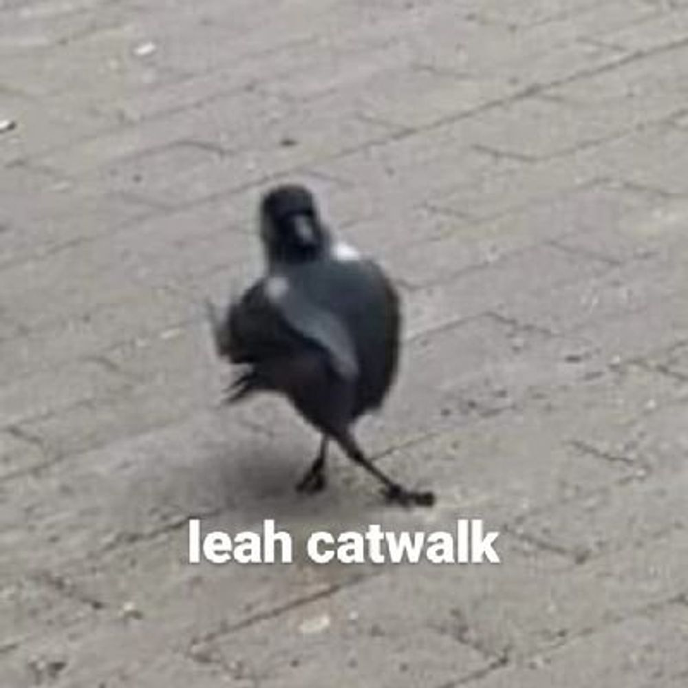leah🦑 